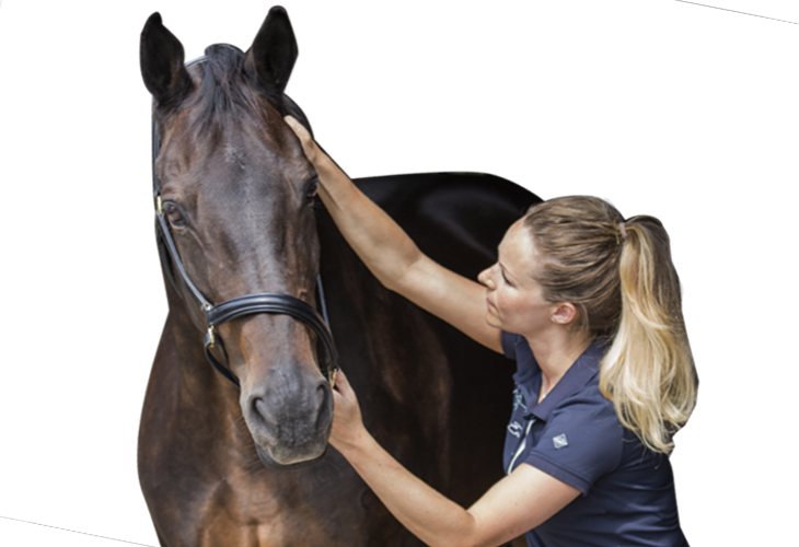 Paarden Fysiotherapie & Osteopathie